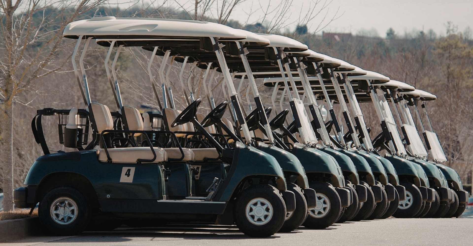 Choosing Right Electric Golf Cart for Your Business Needs 