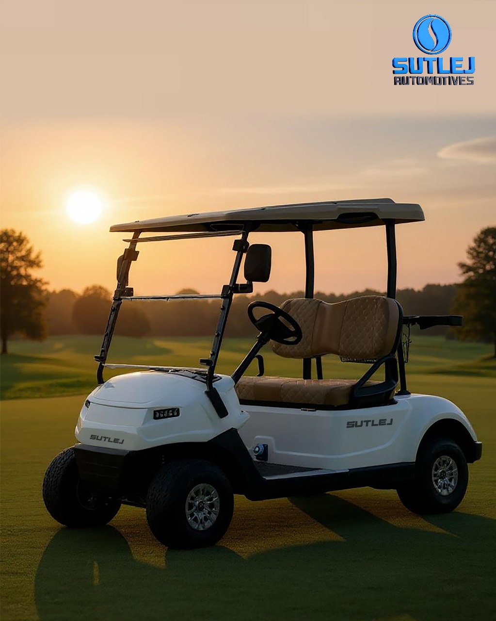 Electric Golf Cart Maintenance Tips to Maximise Battery Life