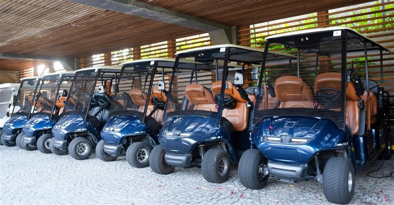 Golf Carts for Sale: A Complete Buyer’s Guide for First-Time Shoppers