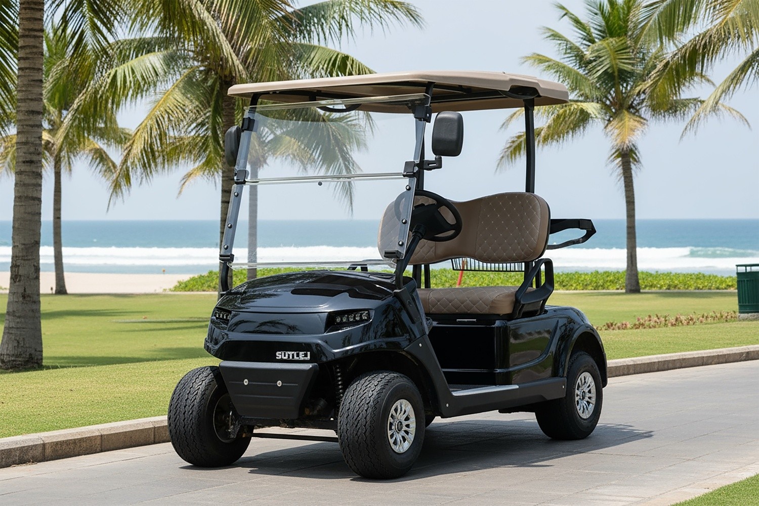 2 Seater Golf Cart